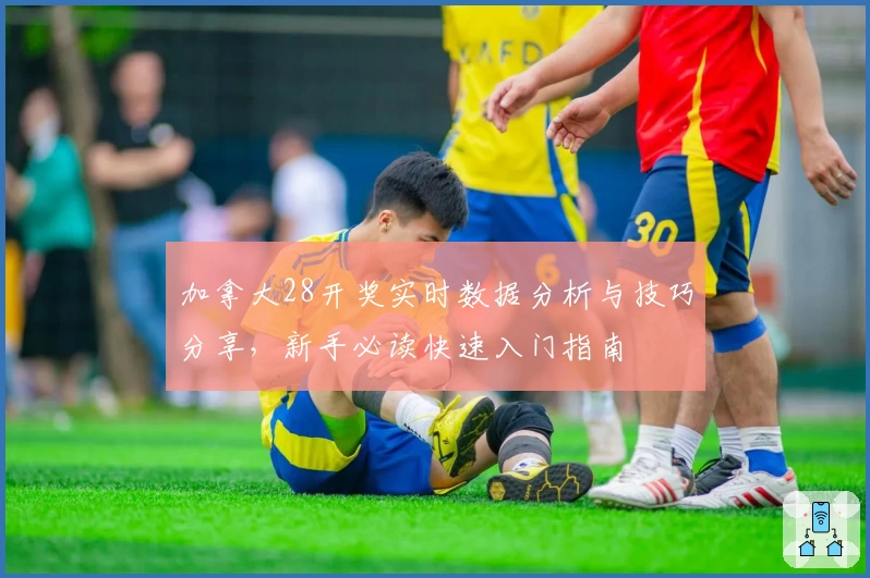 加拿大28开奖实时数据分析与技巧分享，新手必读快速入门指南